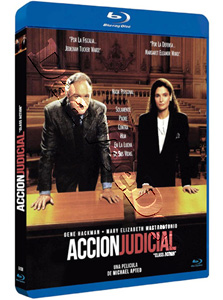 Class Action  (1991)